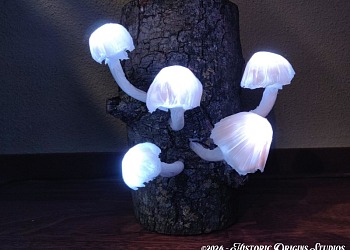 glowing fungi