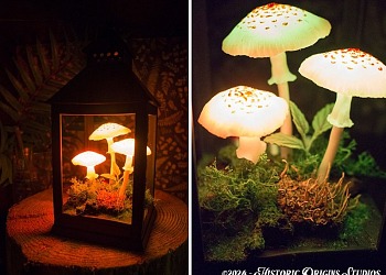 glowing fungi