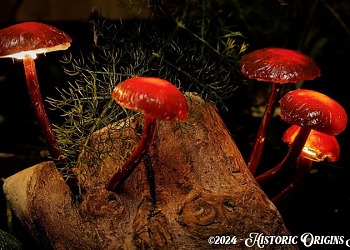 glowing fungi
